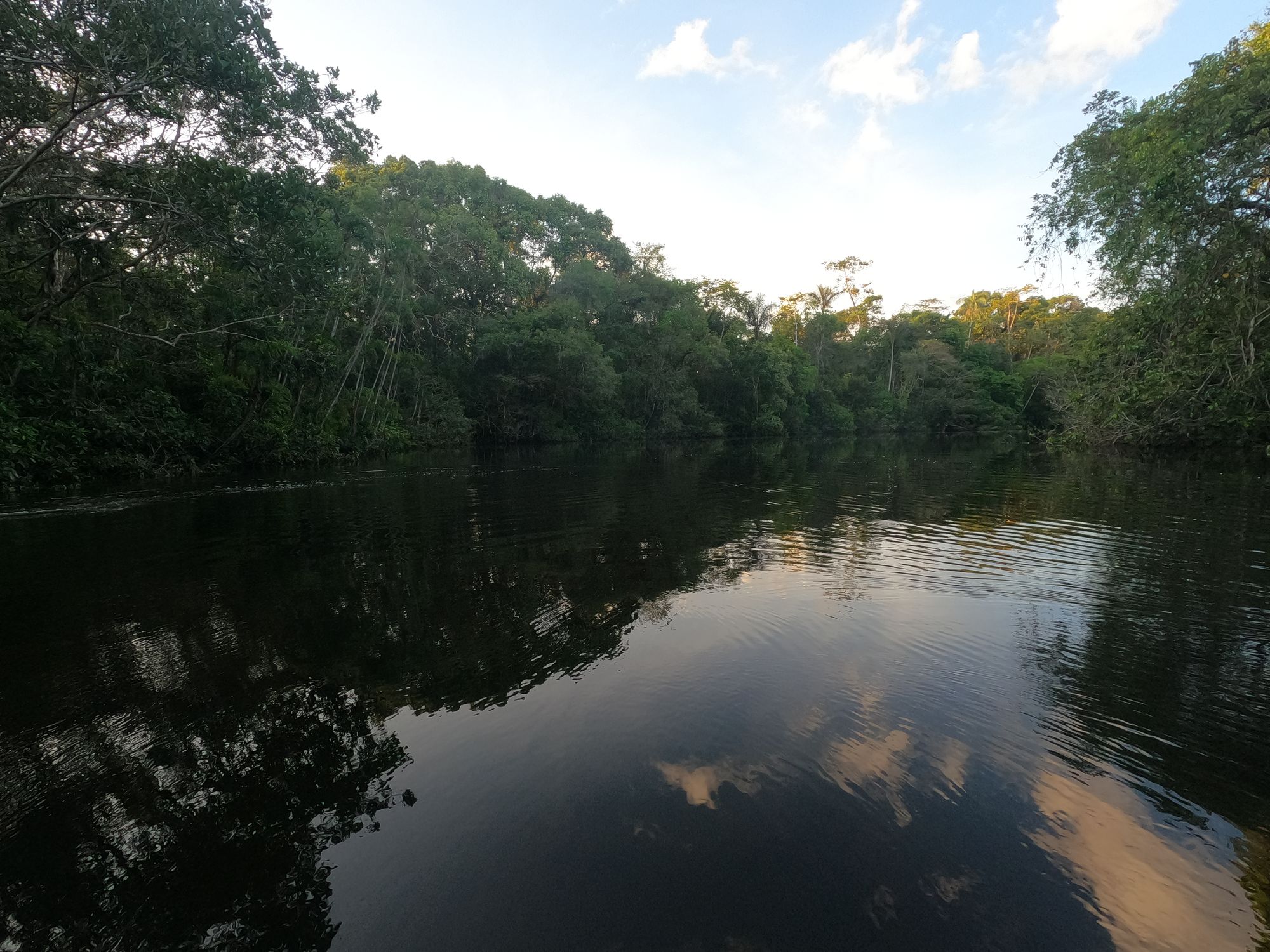 Ecuador - Cuyabeno Amazon
