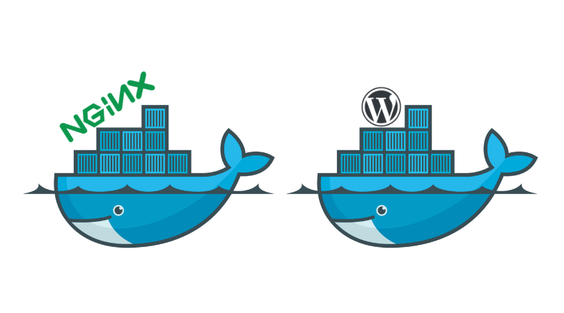 Set up docker Wordpress behind docker NGINX with SSL