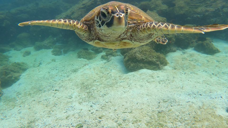 Ecuador - Galapagos