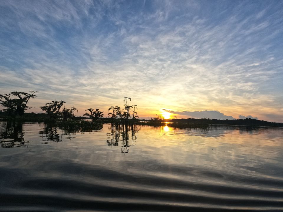 Ecuador - Cuyabeno Amazon